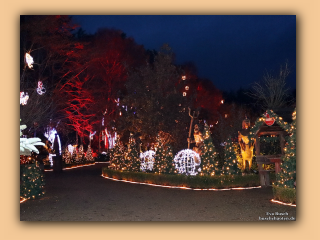 Skulpturenpark Blokhus Magisk Jul (48).jpg